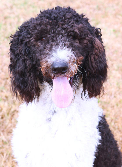 Mr. Columbia thumbnail 2