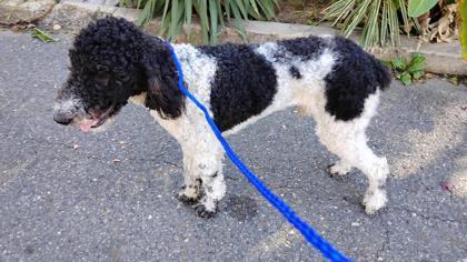 Mr. Columbia thumbnail 3