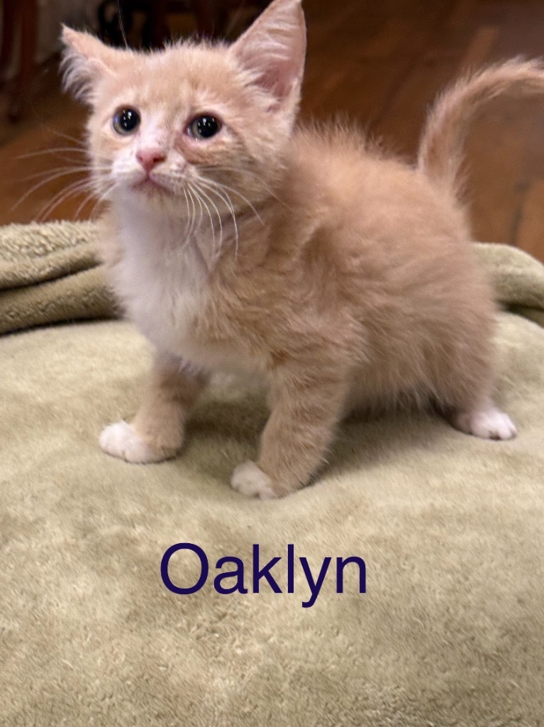 Oaklyn