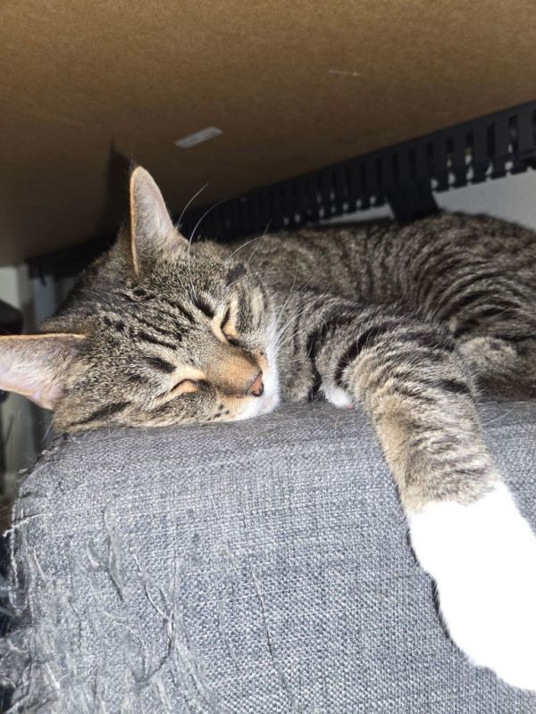 Mp  Roxy thumbnail 2