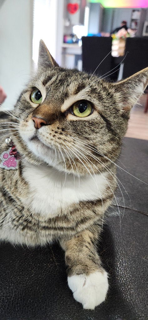 Mp  Sunny thumbnail 2