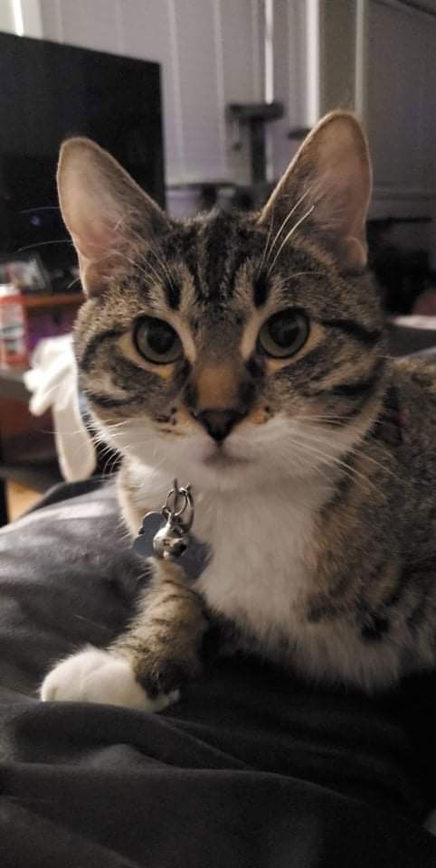 Mp  Sunny thumbnail 3