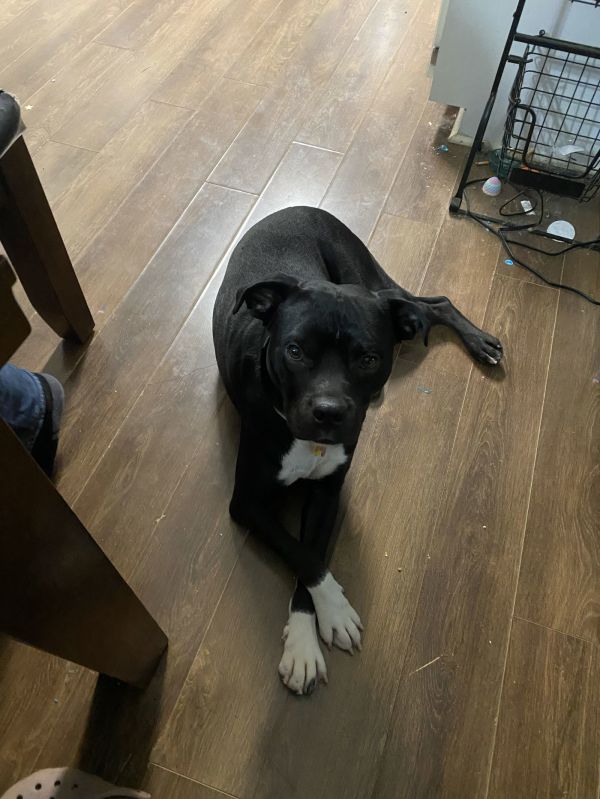 Jughead  The Goofy thumbnail 2