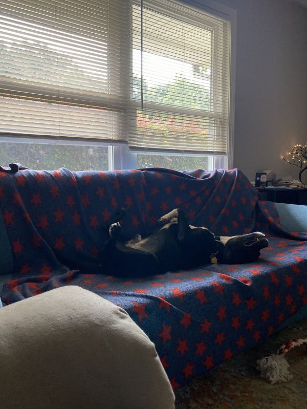 Jughead  The Goofy thumbnail 3