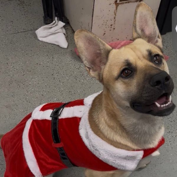 Thackery thumbnail 2