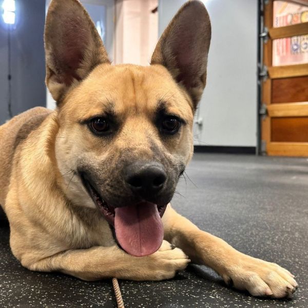 Thackery thumbnail 3