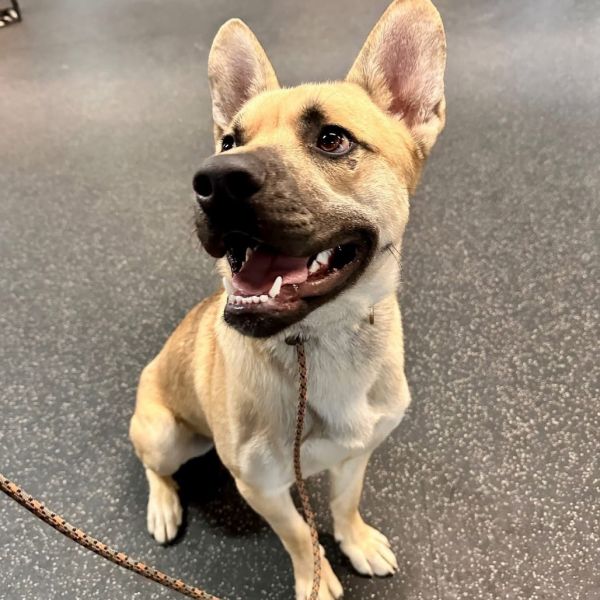 Thackery thumbnail 4