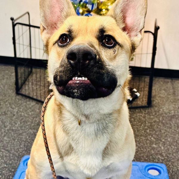 Thackery thumbnail 5