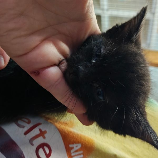 Jimmy Mcgee thumbnail 2