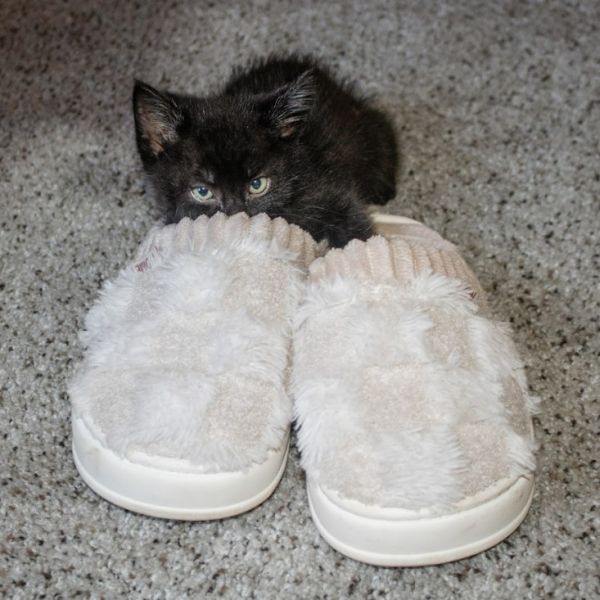 Jimmy Mcgee thumbnail 3