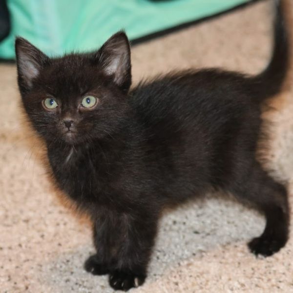 Jimmy Mcgee thumbnail 4