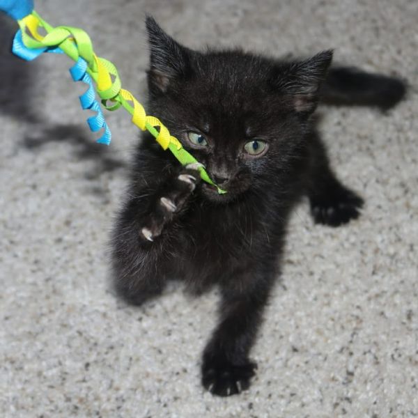 Jimmy Mcgee thumbnail 5