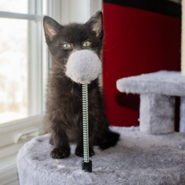 Jimmy Mcgee thumbnail 6