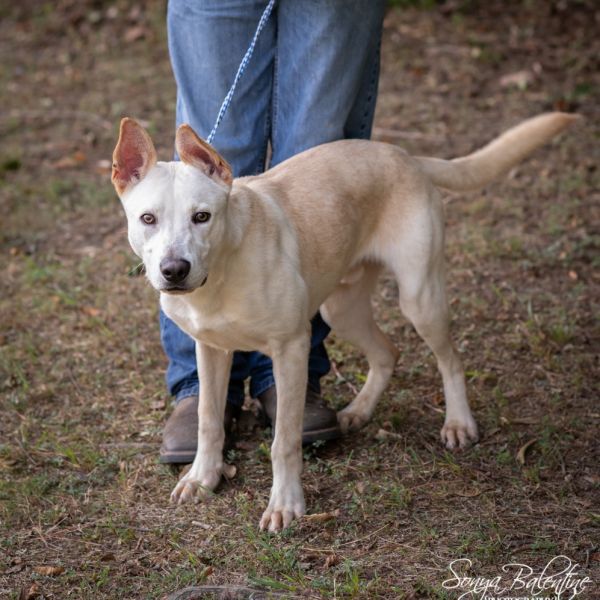 Sir Charles thumbnail 2