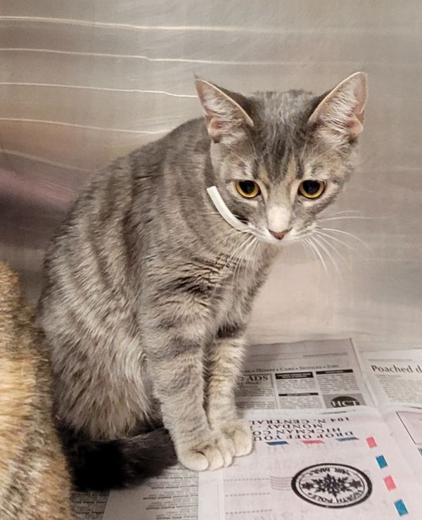 Luna Hardcastle thumbnail 2