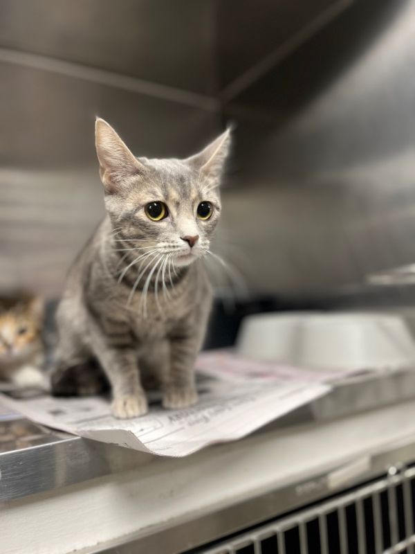 Luna Hardcastle thumbnail 3