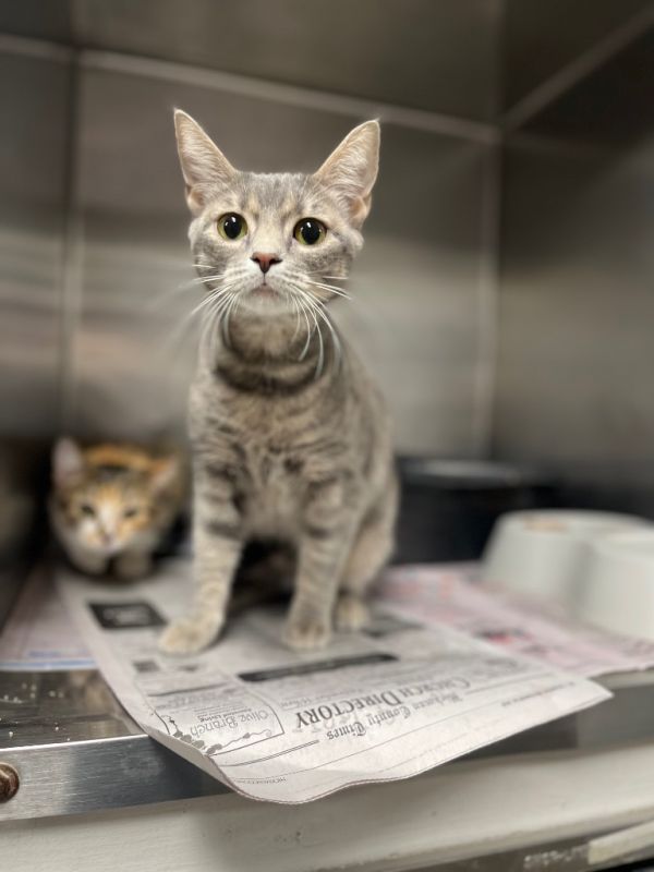 Luna Hardcastle thumbnail 4