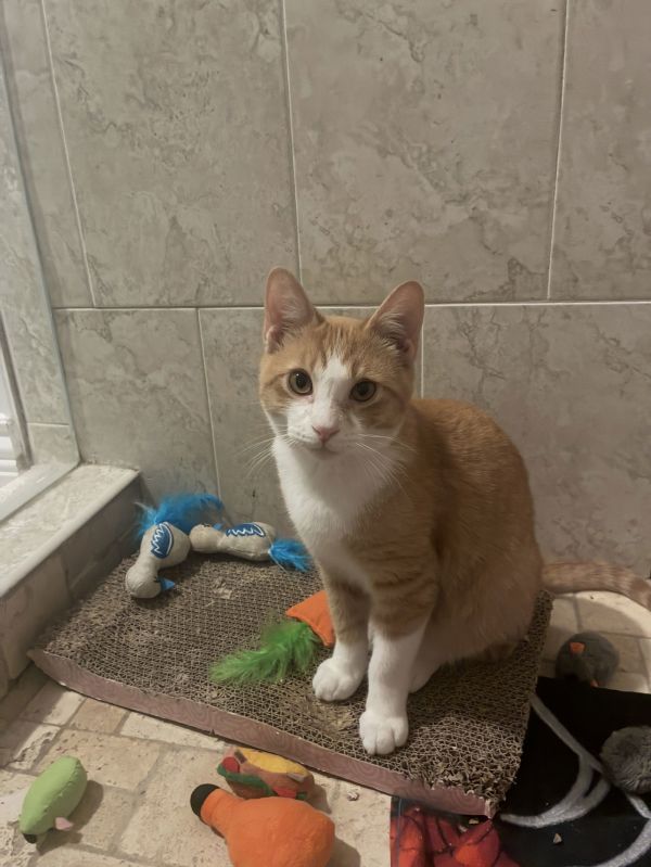 Charlie Ray thumbnail 3