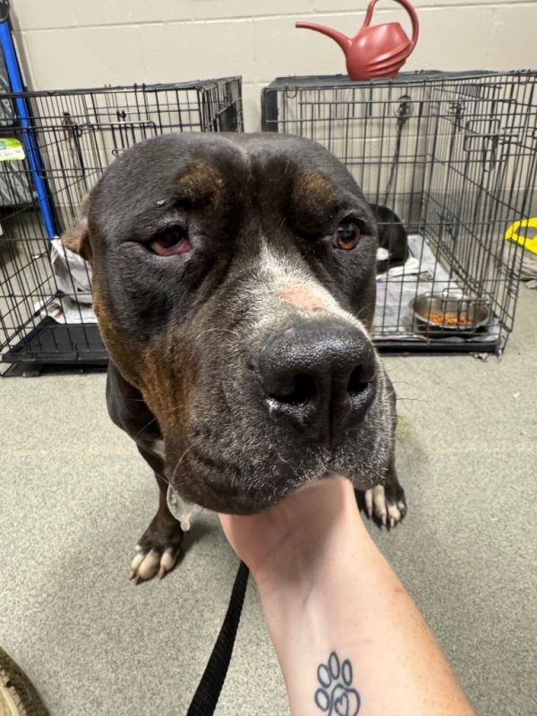 Raven Caskey thumbnail 2