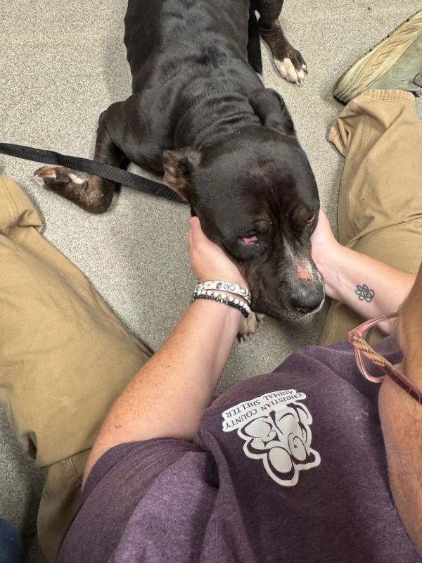 Raven Caskey thumbnail 3