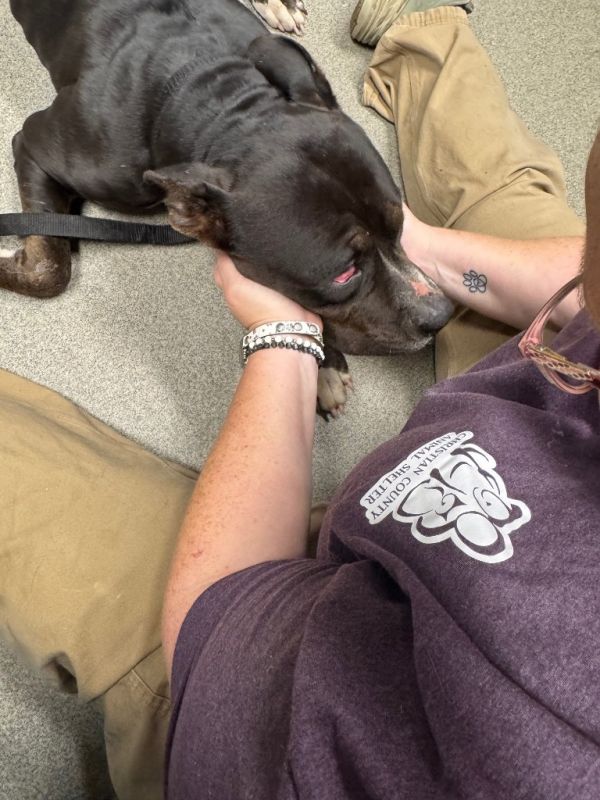 Raven Caskey thumbnail 4