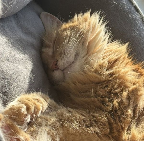 Hannah Montana C thumbnail 2