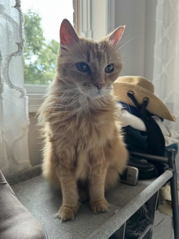 Hannah Montana C thumbnail 3