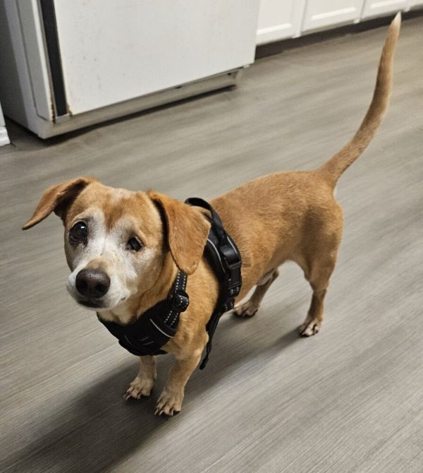 Cracker Jack thumbnail 2