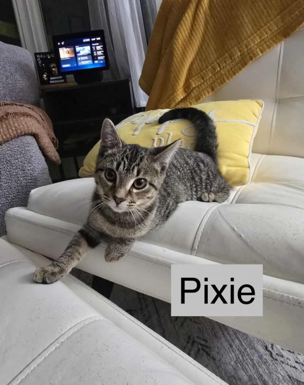 Pixie