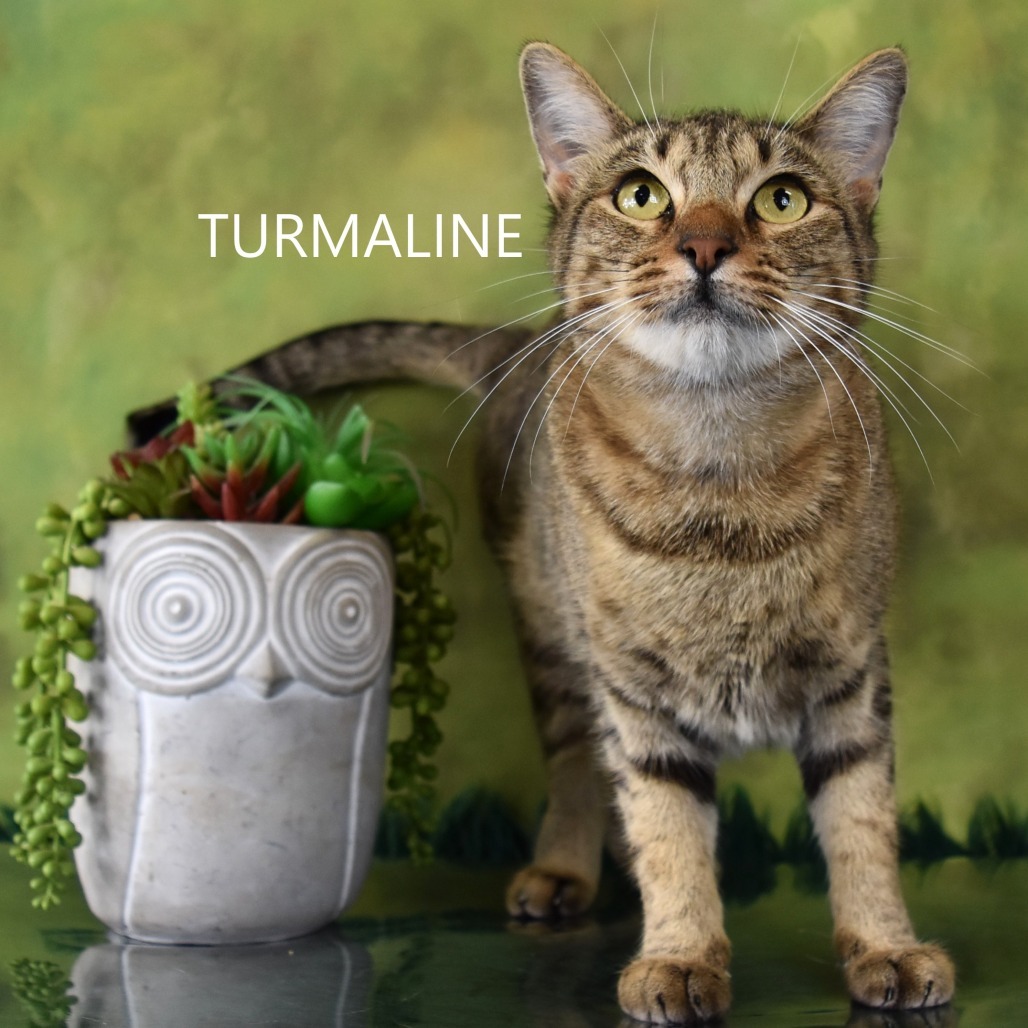 Turmaline