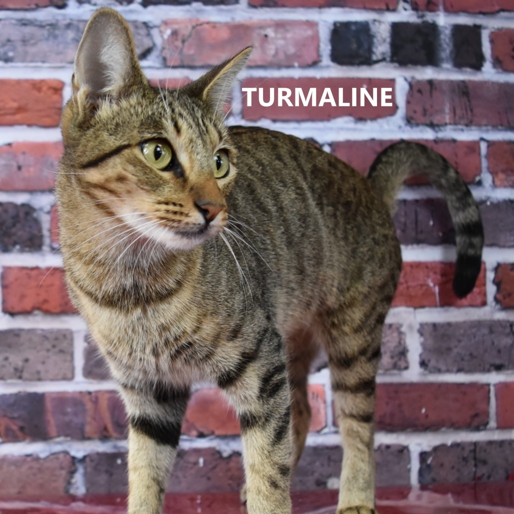 Turmaline