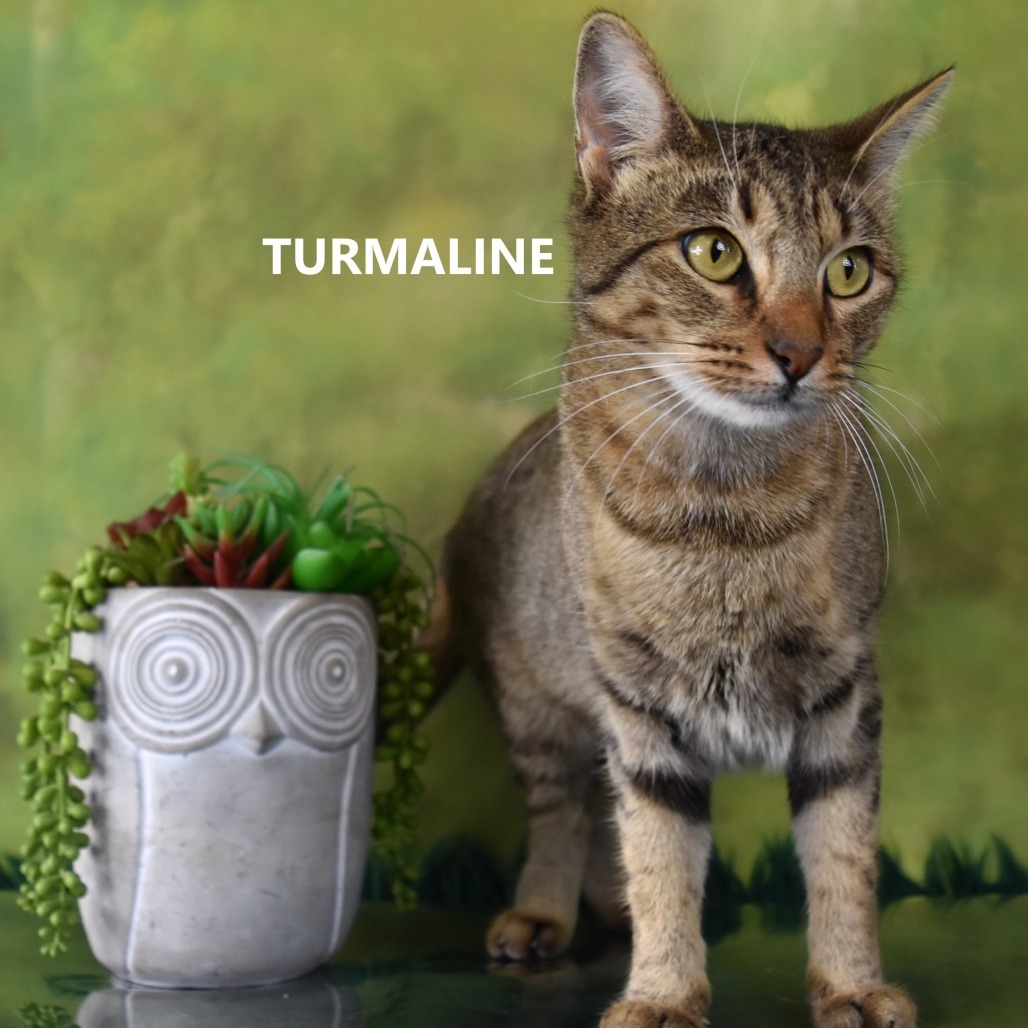 Turmaline