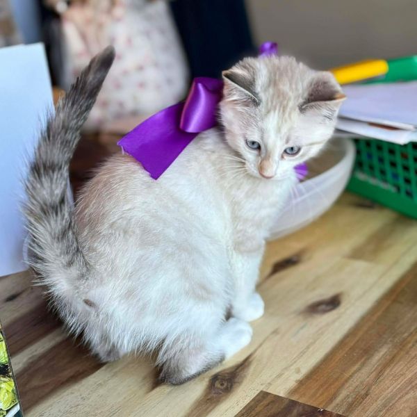 Cloud Christensen thumbnail 2