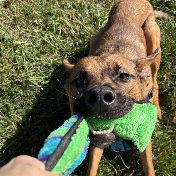 Billy The Kid thumbnail 2