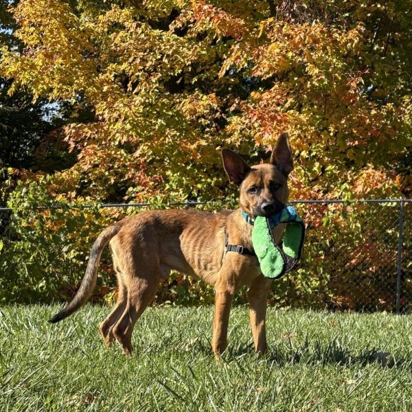 Billy The Kid thumbnail 4