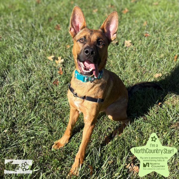 Billy The Kid thumbnail 6