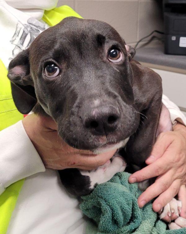 Rockysoot thumbnail 2