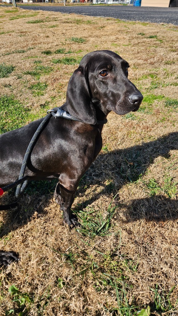 Sadie Timber thumbnail 2