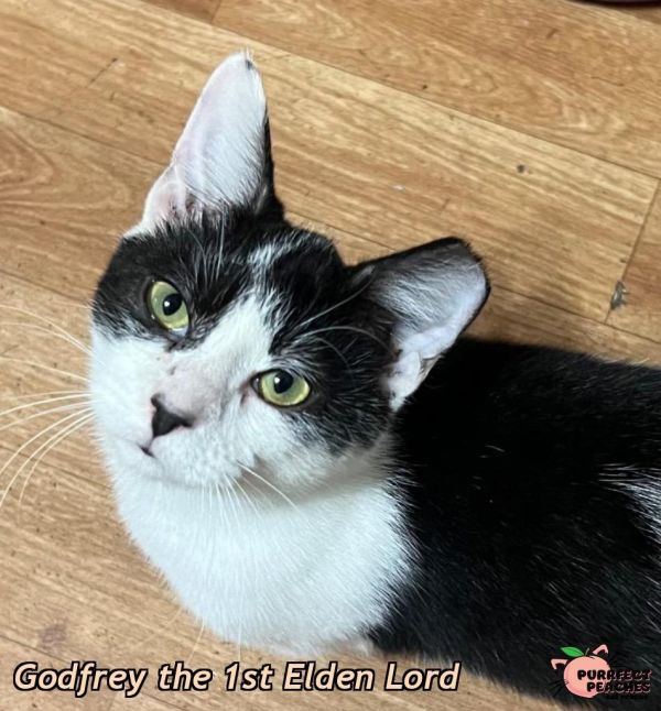 Godfrey The St Elden