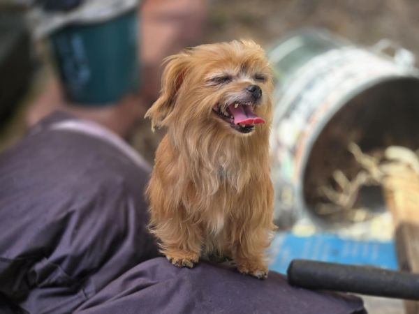 Devon Jc thumbnail 2