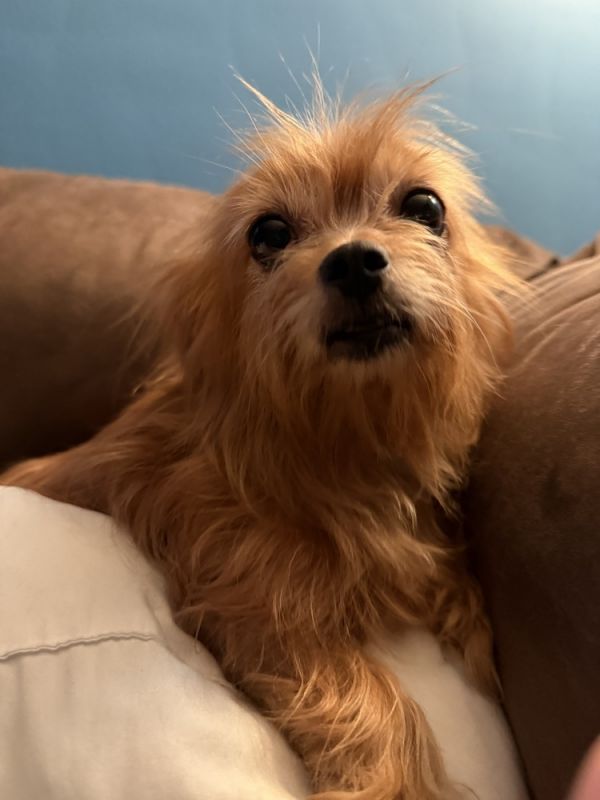 Devon Jc thumbnail 3