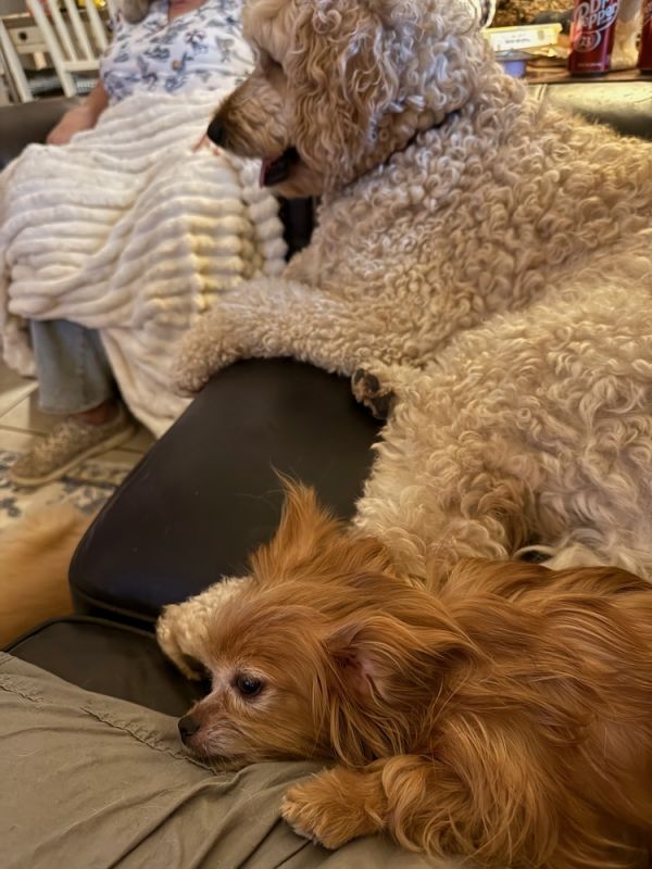 Devon Jc thumbnail 4