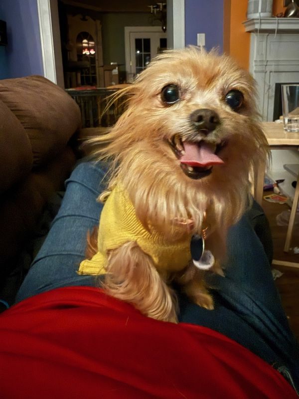 Devon Jc thumbnail 5