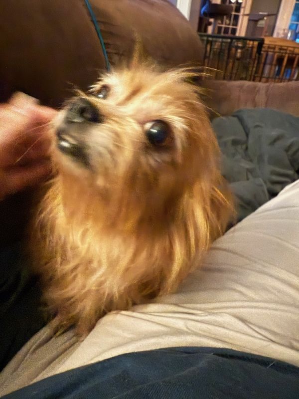 Devon Jc thumbnail 6