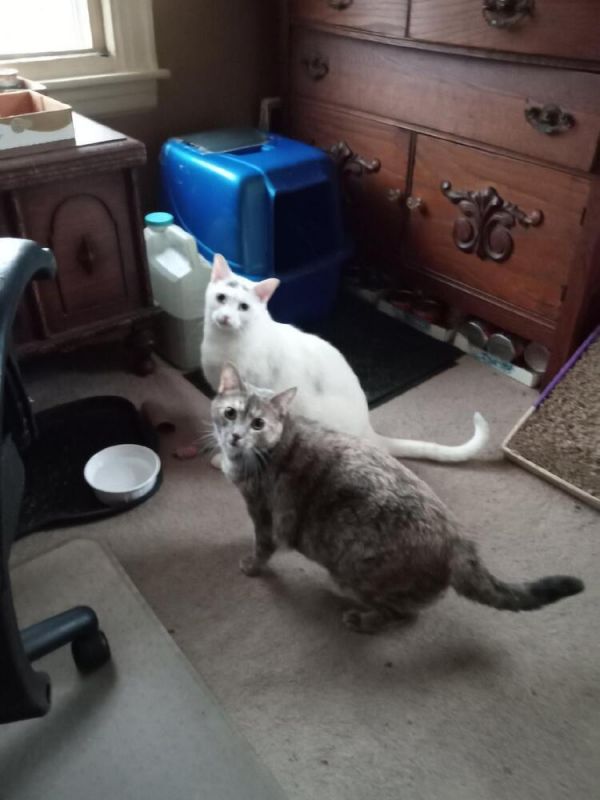 Lee Laurelton thumbnail 2