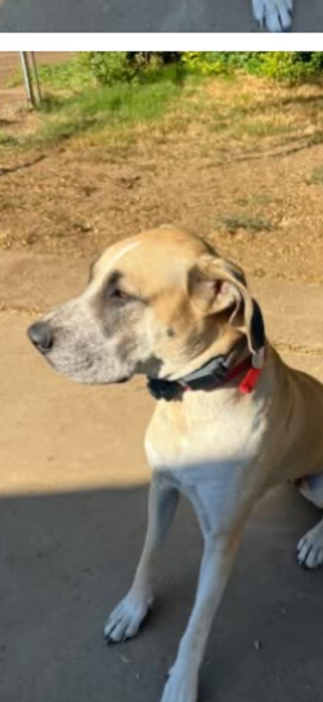 Mayflower thumbnail 2