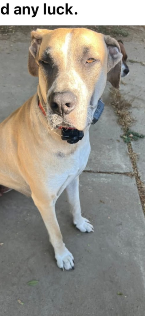 Mayflower thumbnail 3