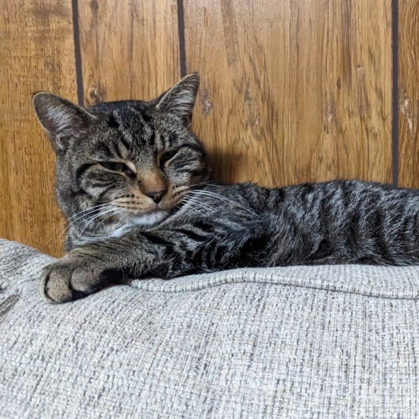 Franklin Beans thumbnail 2