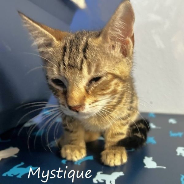 Mystique
