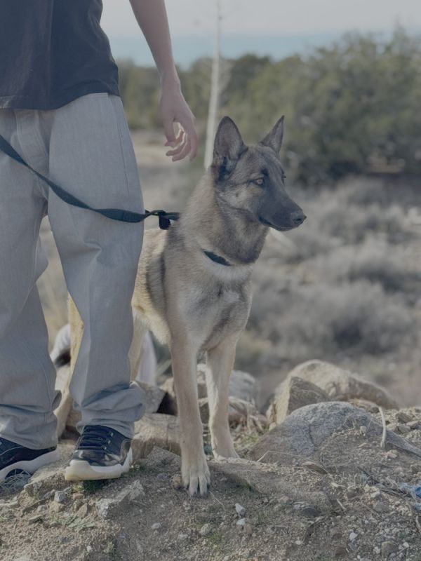 Sandra  Located In thumbnail 2